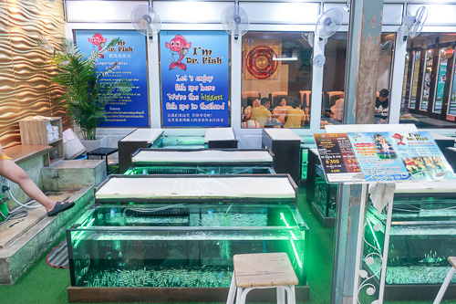 doctor fish ASIATIQUE