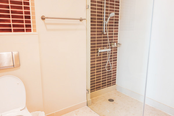 Bathroom, toilet and shower