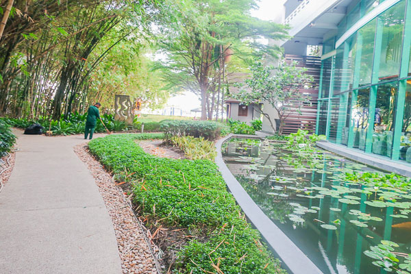 garden