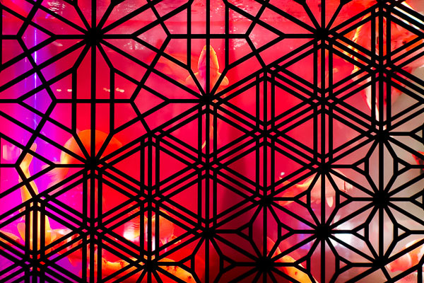 Carp behind the pattern