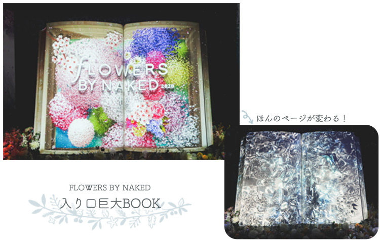 フラワーズバイネイキッド入り口フォトジェニック