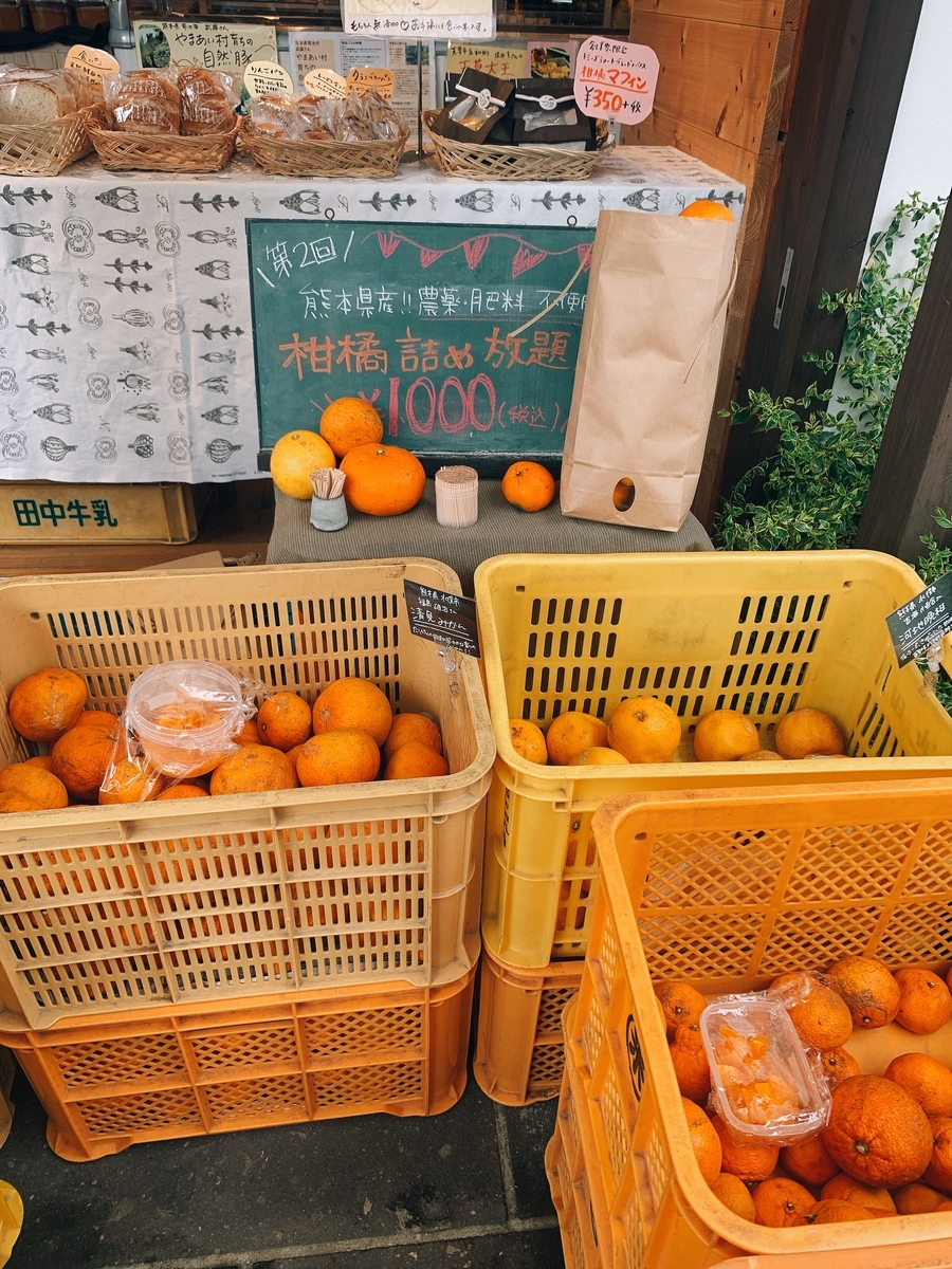 f:id:natsuuko:20210319213920j:plain