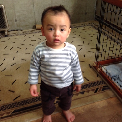 f:id:natsuyono:20161220165149j:image f:id:natsuyono:20161220165149j:image