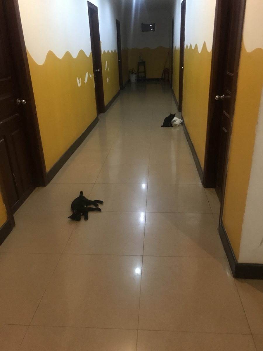 f:id:nattch76:20190827225904j:plain f:id:nattch76:20190827225904j:plain