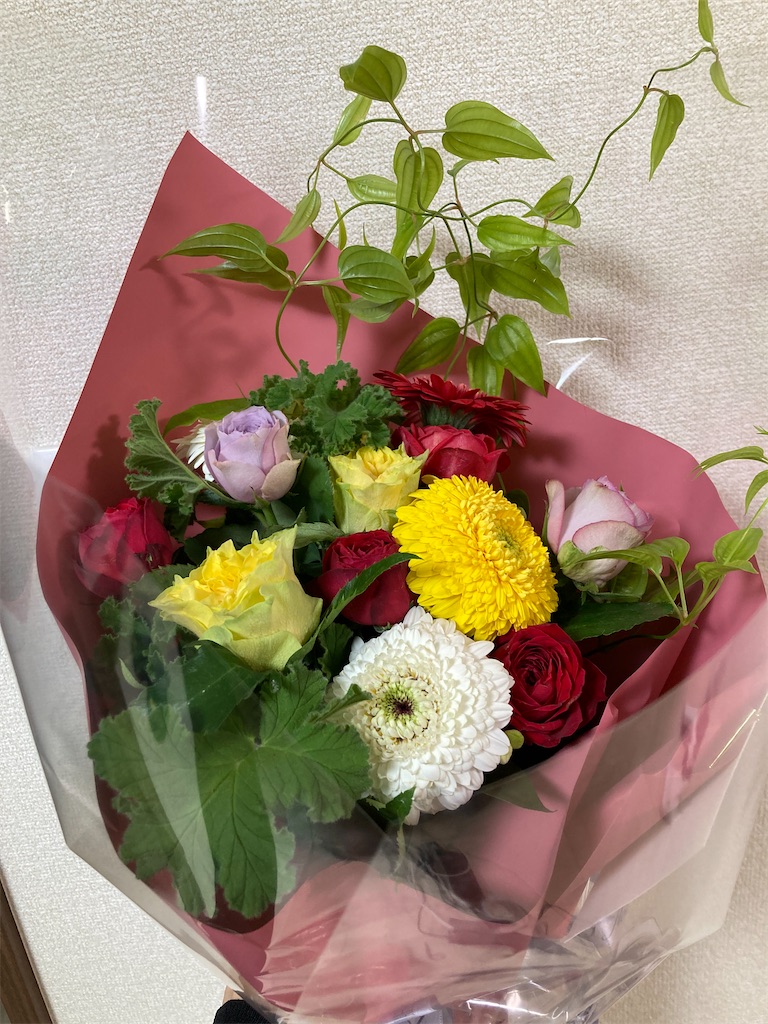 f:id:nattougohan8:20231019075328j:image f:id:nattougohan8:20231019075328j:image