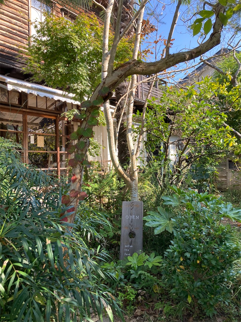 f:id:nattougohan8:20231106003807j:image