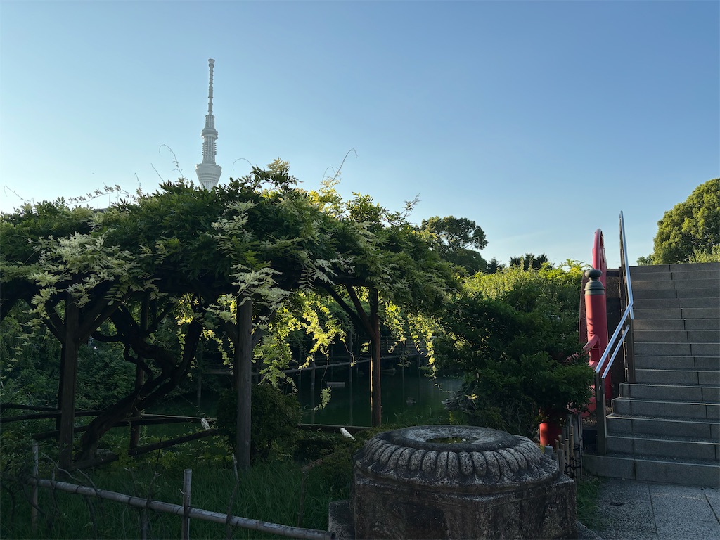 f:id:nattougohan8:20240803235318j:image