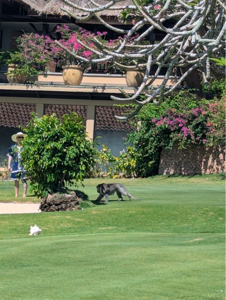 f:id:nattougohan8:20240915211949j:image