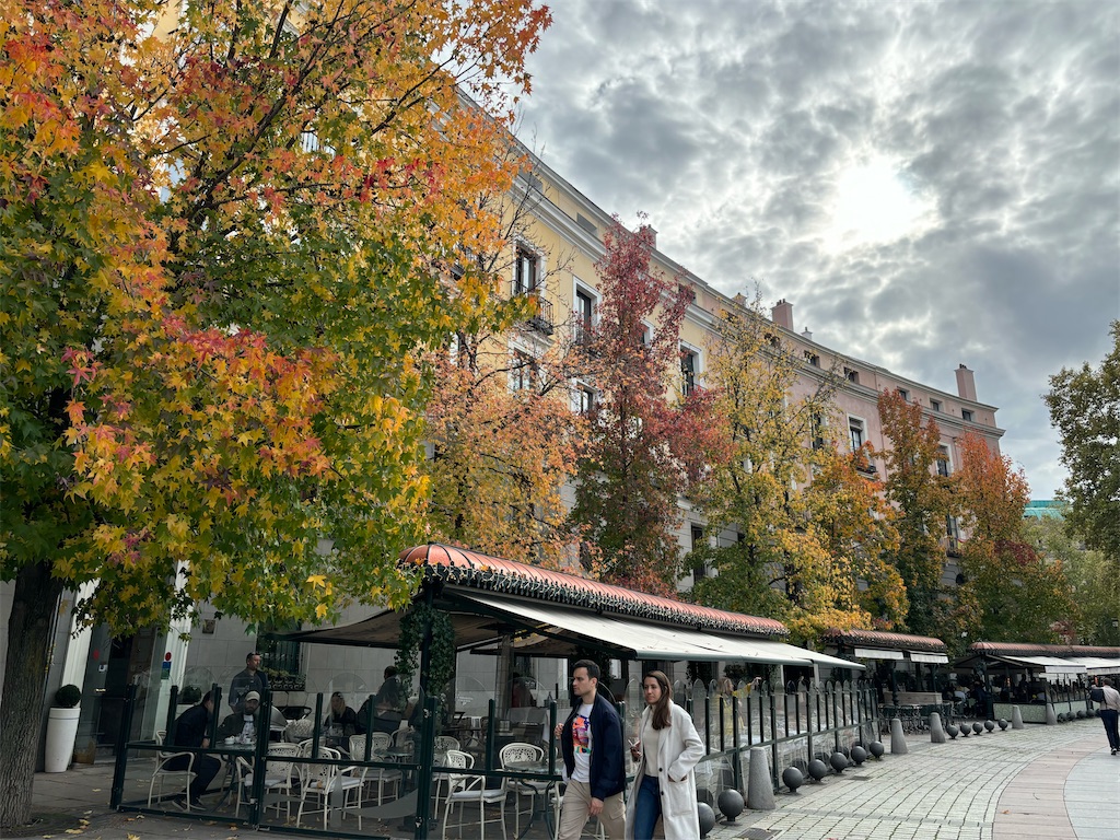 f:id:nattougohan8:20241126233747j:image