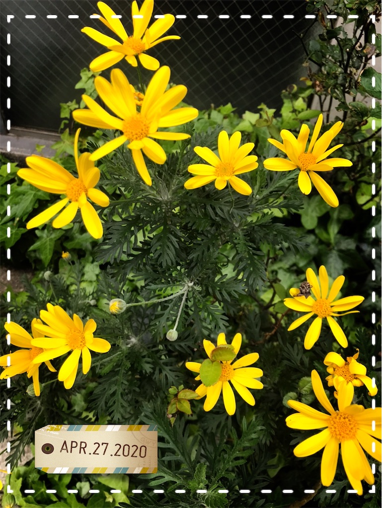 f:id:nattygift0430:20200427143325j:image f:id:nattygift0430:20200427143325j:image