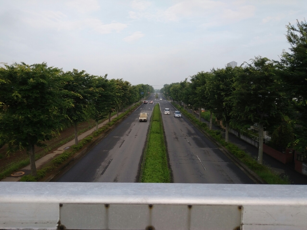 f:id:natu826:20180611102400j:plain f:id:natu826:20180611102400j:plain