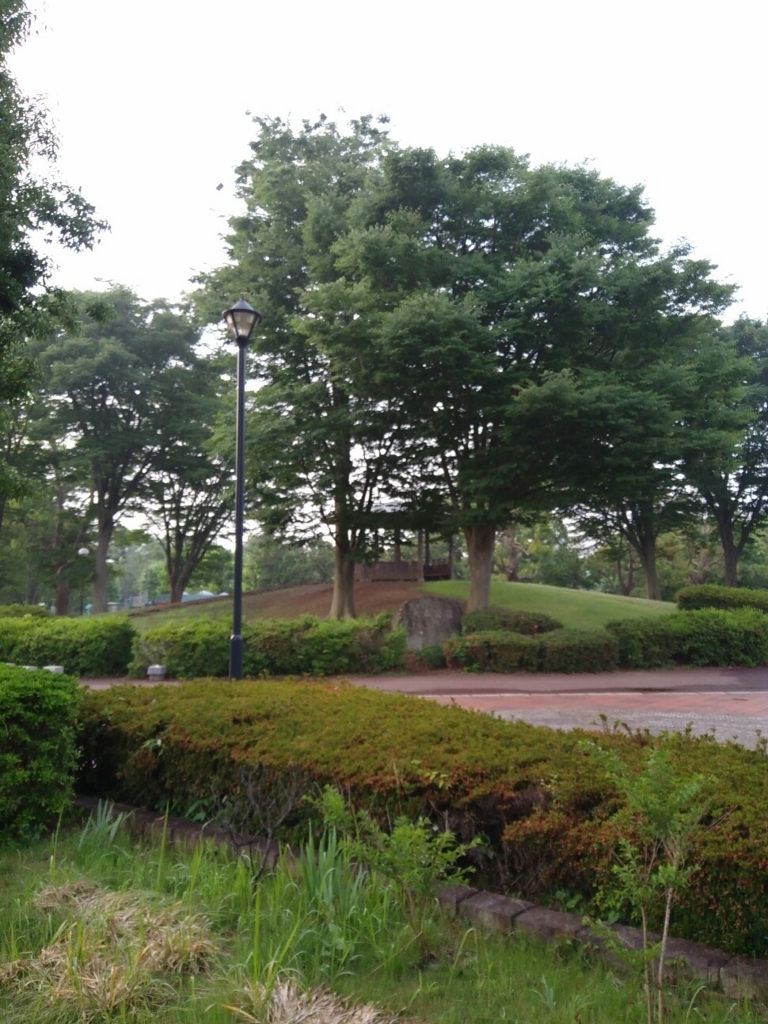 f:id:natu826:20180611104536j:plain f:id:natu826:20180611104536j:plain