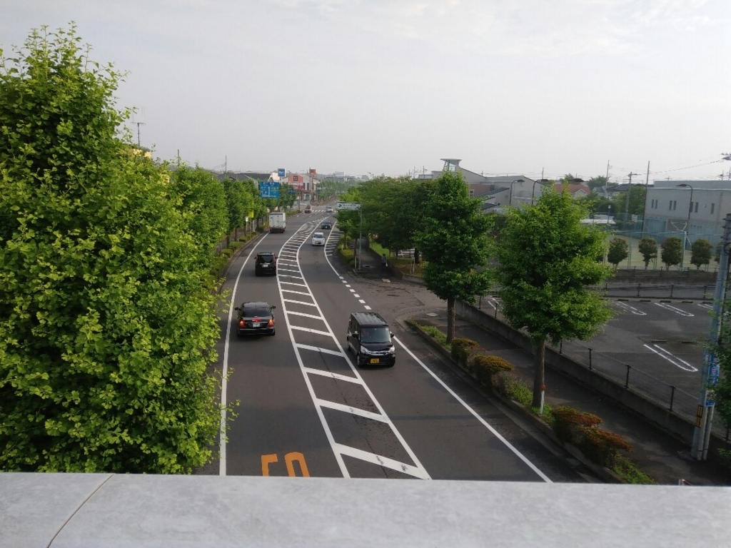 f:id:natu826:20180611110131j:plain f:id:natu826:20180611110131j:plain