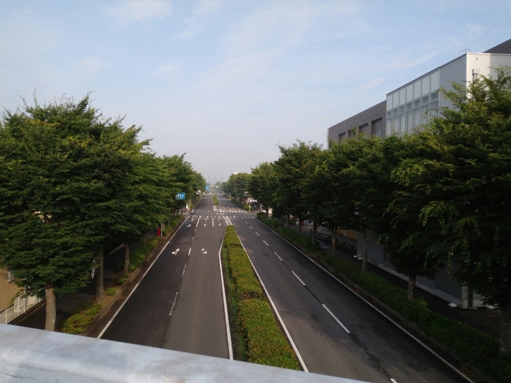 f:id:natu826:20180611111225j:plain f:id:natu826:20180611111225j:plain