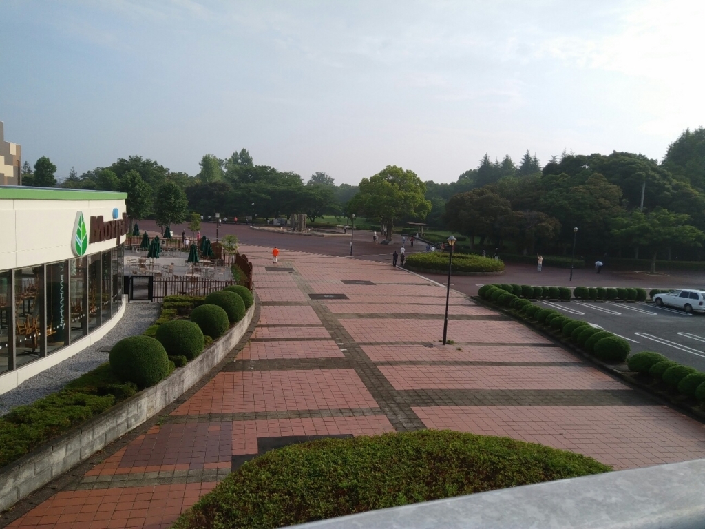 f:id:natu826:20180611111246j:plain f:id:natu826:20180611111246j:plain