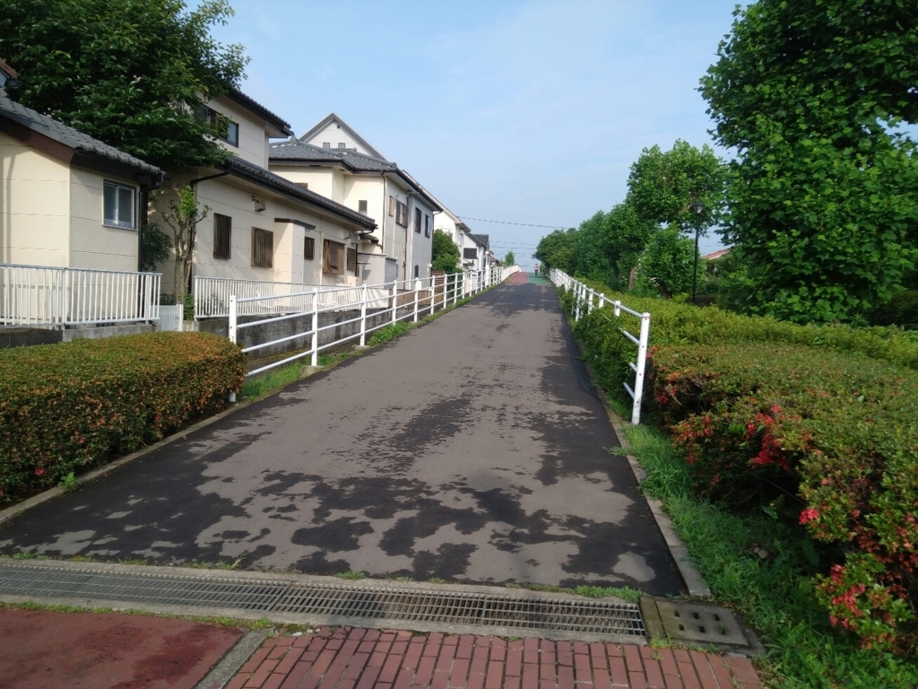 f:id:natu826:20180611112140j:plain f:id:natu826:20180611112140j:plain