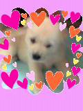 f:id:natu826:20180612182821j:plain f:id:natu826:20180612182821j:plain