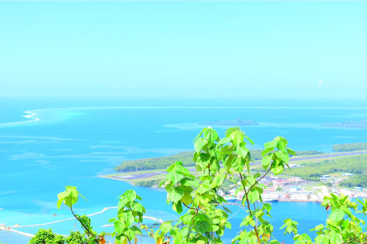 f:id:natuRable:20201009174637j:image f:id:natuRable:20201009174637j:image