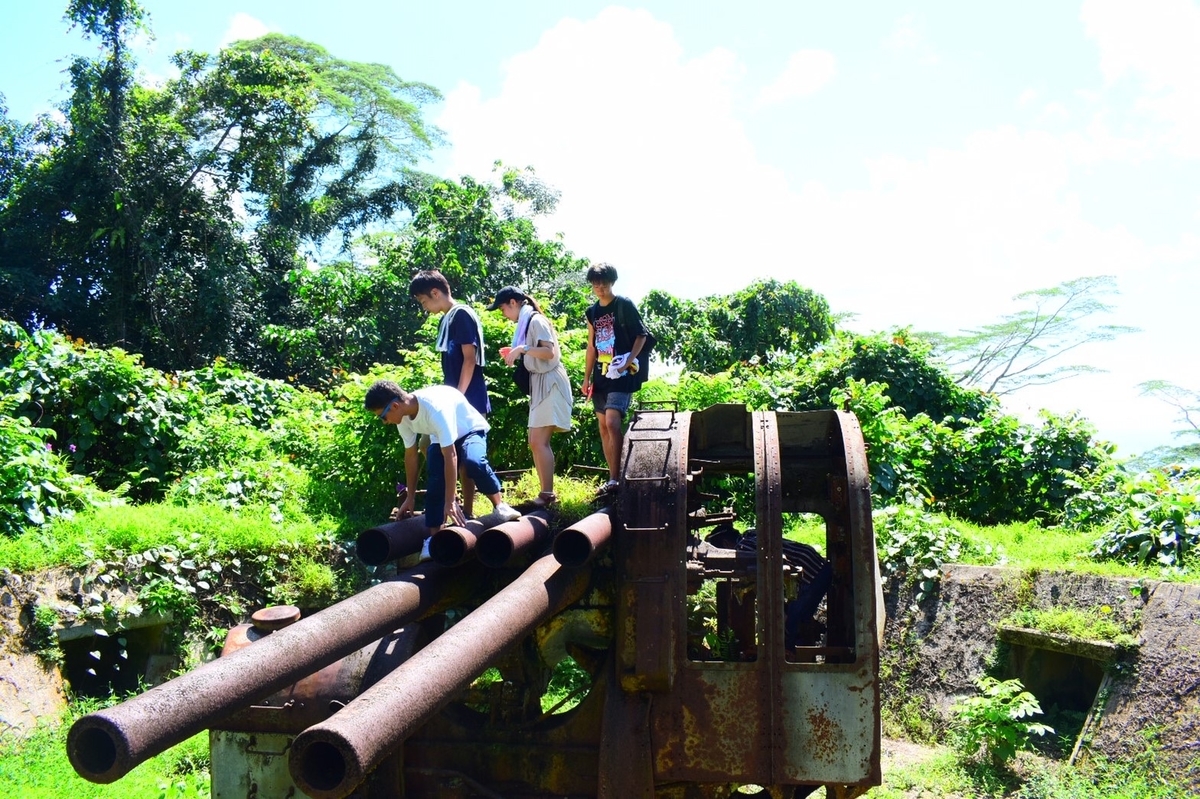 f:id:natuRable:20201115045119j:plain f:id:natuRable:20201115045119j:plain