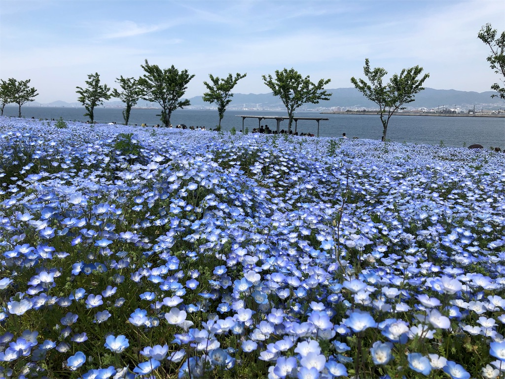f:id:natuhi3:20190505232835j:image