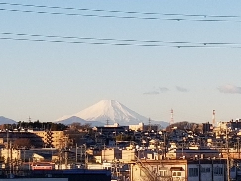 f:id:natumeroyoko1:20220101163456j:plain