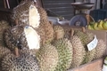 タイのフルーツ　果物の王様ドリアン