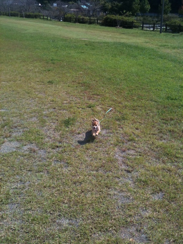 f:id:natural-basic:20110930105626j:image