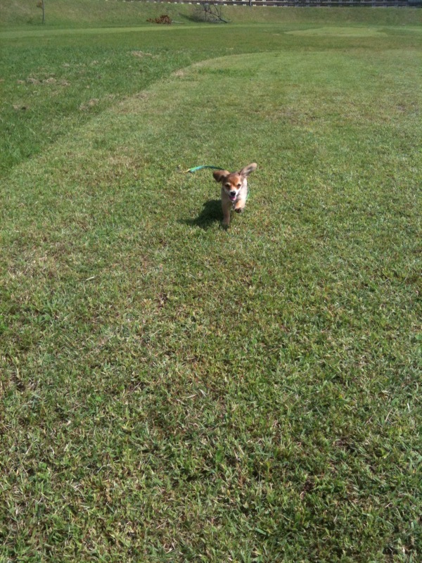 f:id:natural-basic:20110930105940j:image