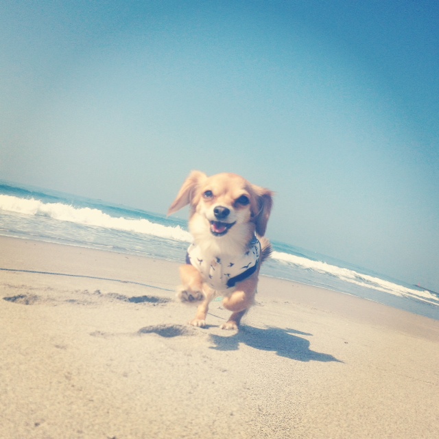 f:id:natural-basic:20130407063935j:image f:id:natural-basic:20130407063935j:image