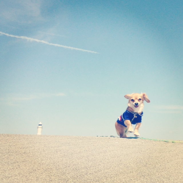 f:id:natural-basic:20130407064035j:image f:id:natural-basic:20130407064035j:image