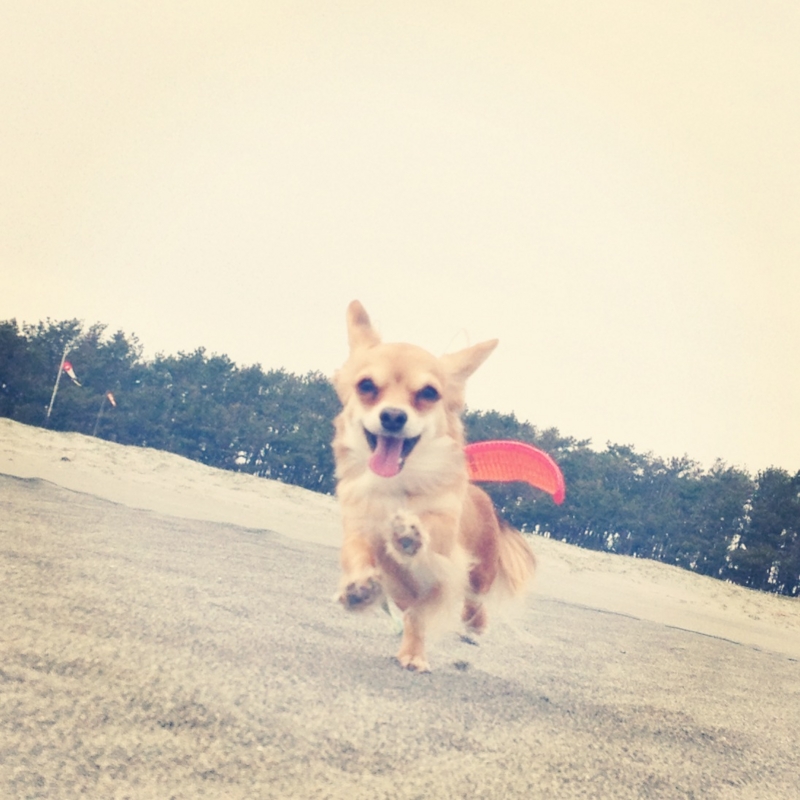 f:id:natural-basic:20130407064234j:image f:id:natural-basic:20130407064234j:image