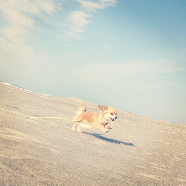 f:id:natural-basic:20130407064517j:image f:id:natural-basic:20130407064517j:image