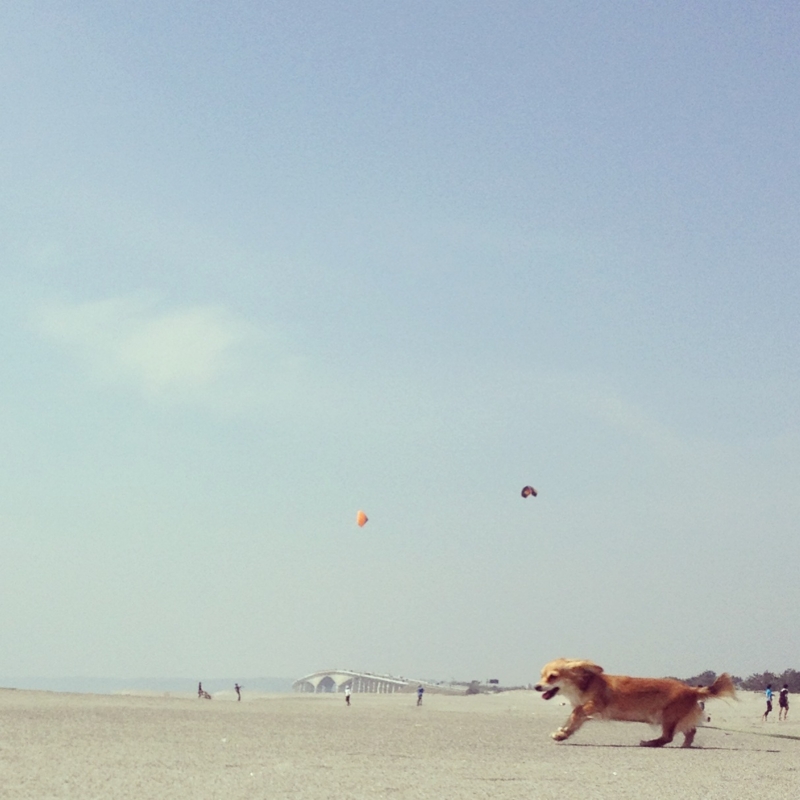 f:id:natural-basic:20130407064550j:image f:id:natural-basic:20130407064550j:image