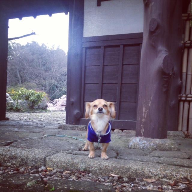 f:id:natural-basic:20130407064629j:image f:id:natural-basic:20130407064629j:image
