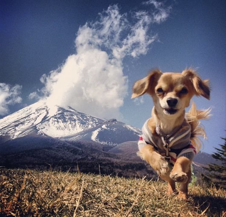 f:id:natural-basic:20161225145638p:image f:id:natural-basic:20161225145638p:image