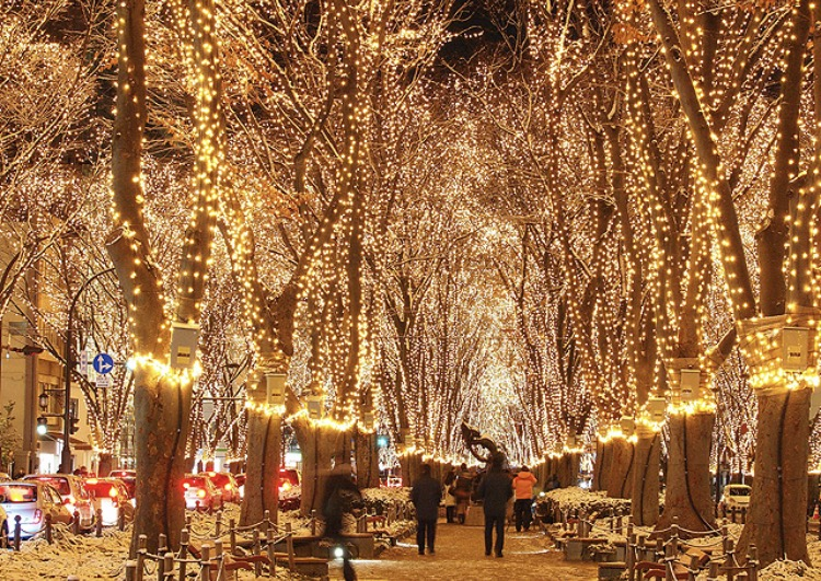 f:id:natural-basic:20170101172339p:image f:id:natural-basic:20170101172339p:image