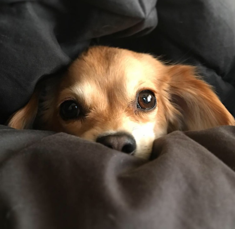 f:id:natural-basic:20170119155115p:image f:id:natural-basic:20170119155115p:image