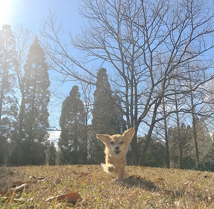 f:id:natural-basic:20170128123946p:image f:id:natural-basic:20170128123946p:image