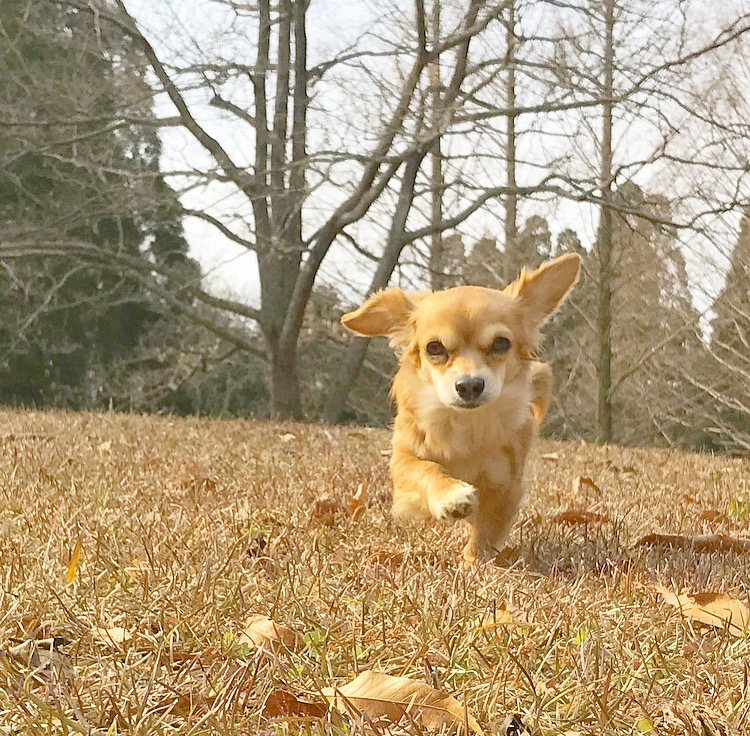 f:id:natural-basic:20170128124010p:image f:id:natural-basic:20170128124010p:image