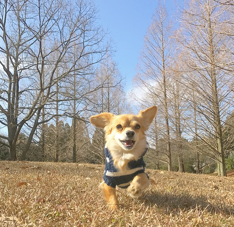 f:id:natural-basic:20170201112323p:image f:id:natural-basic:20170201112323p:image