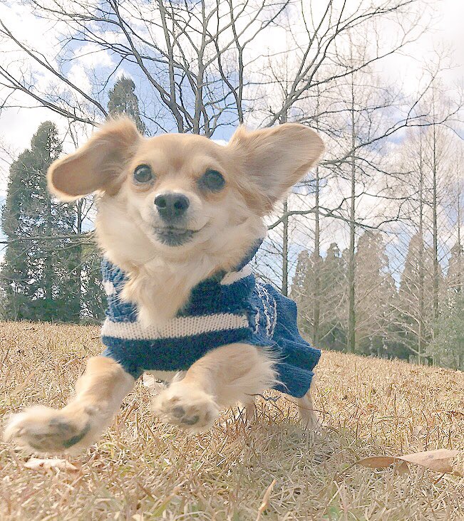 f:id:natural-basic:20170206224804j:image f:id:natural-basic:20170206224804j:image