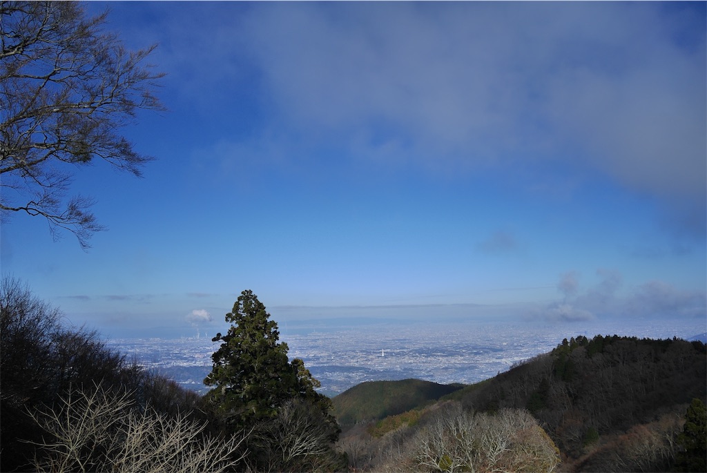 f:id:natural-japub:20190114125316j:image