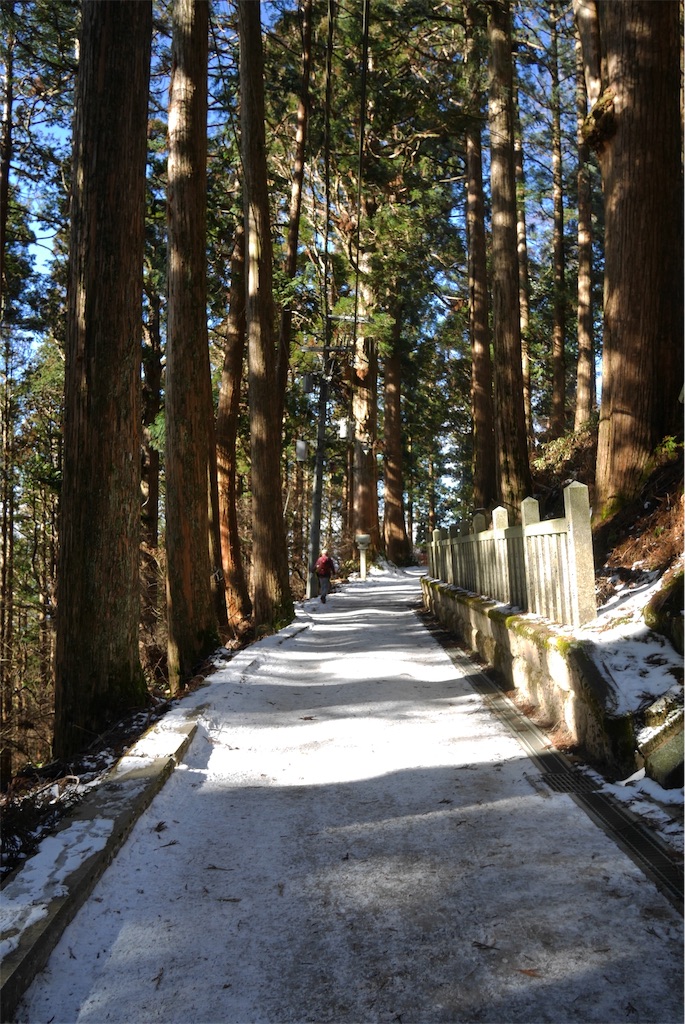 f:id:natural-japub:20190114130457j:image