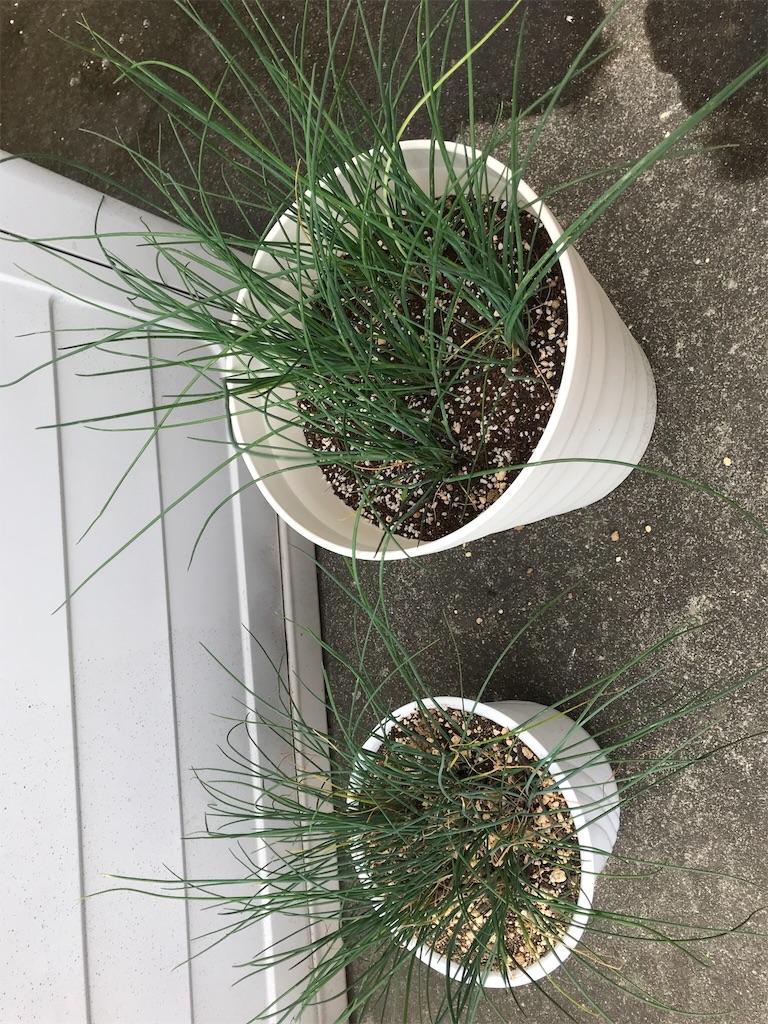 f:id:natural-life-25:20180612192213j:image f:id:natural-life-25:20180612192213j:image