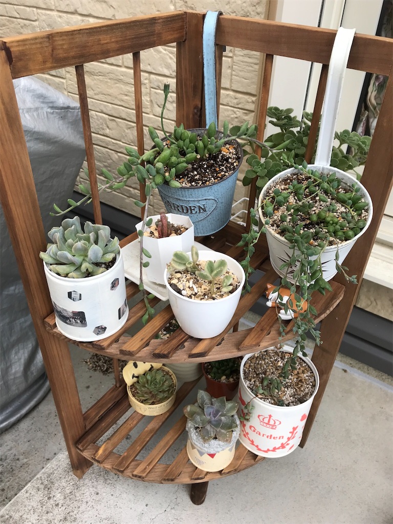 f:id:natural-life-25:20180612192954j:image f:id:natural-life-25:20180612192954j:image