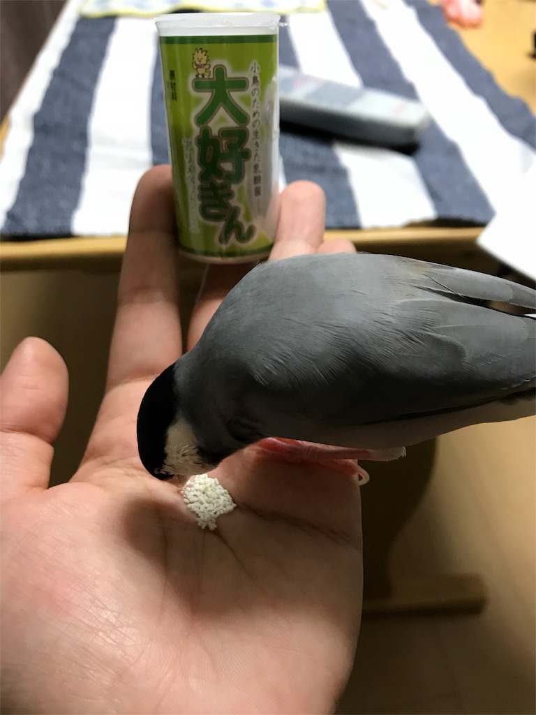 f:id:natural-life-25:20180709150024j:image f:id:natural-life-25:20180709150024j:image