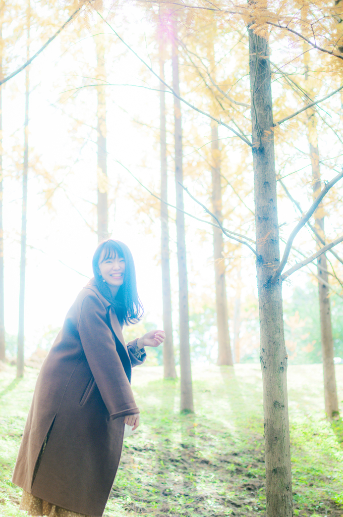 f:id:naturalbossa:20181129163858j:plain f:id:naturalbossa:20181129163858j:plain