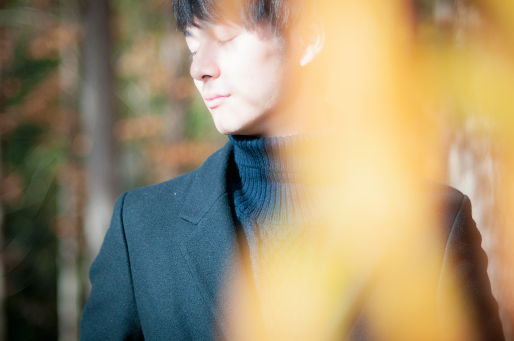 f:id:naturalbossa:20181129164526j:plain f:id:naturalbossa:20181129164526j:plain