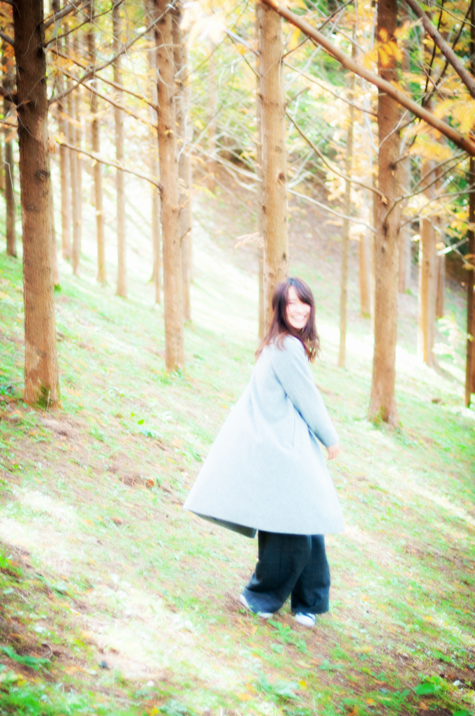 f:id:naturalbossa:20181129164540j:plain f:id:naturalbossa:20181129164540j:plain