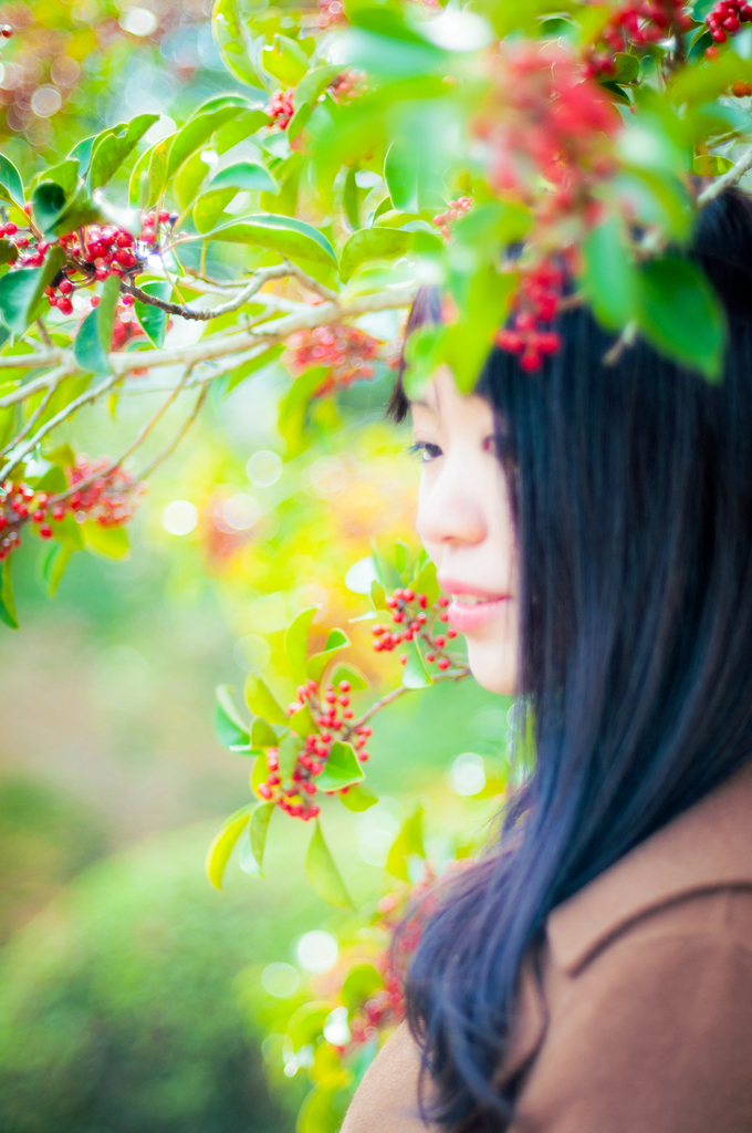 f:id:naturalbossa:20181129164744j:plain f:id:naturalbossa:20181129164744j:plain